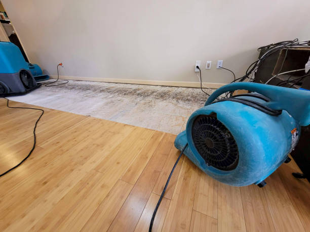 Professional Structural Drying technician working in Liberty, KY